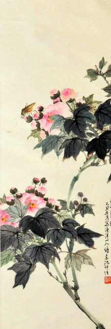 芙蓉 国画图片免费下载,芙蓉 国画设计素材大全,芙蓉 国画模板下载