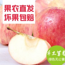 红富士苹果淘宝主图