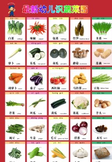豌豆丝瓜最新幼儿识蔬菜图