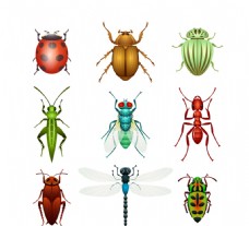 昆虫设计矢量素材