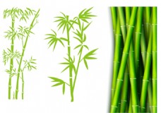 绿树竹竿竹子素材