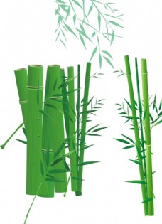 绿色叶子矢量绿色竹子竹叶