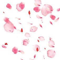 鲜花装饰桃花花瓣节日鲜花飘落装饰粉红