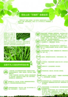 绿色产品绿色农产品高端产业传单