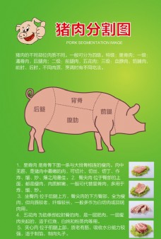 畜牧饲料猪肉分割图