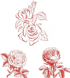 欧式风格玫瑰花素描