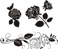 欧式风格黑白玫瑰花