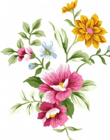 水粉画 插画 花边