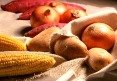玉米洋葱红薯土豆图片