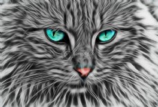 分形艺术绿眼睛的小猫