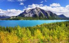 加拿大阿尔伯塔自然风景