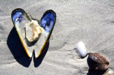 沙滩上的爱心形状