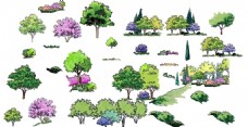 手绘园林绿化景观树木效果图素材
