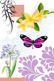美丽的蝴蝶水墨画图片