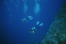 海底世界潜水员大海海底