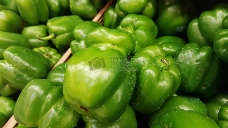 青色绿颜色的青椒