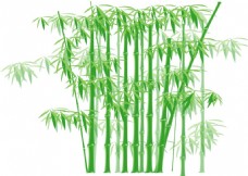 绿色叶子矢量绿色竹