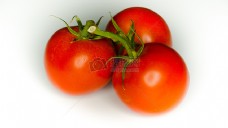 白色背景下的红色番茄