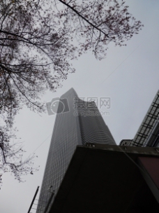 sw_Skyscraper_ncp0161.jpg
