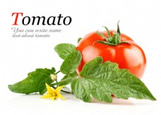 绿色蔬菜西红柿图片图片