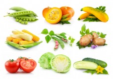 绿色蔬菜各种营养蔬菜图片