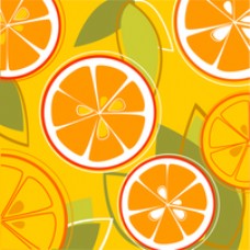 橙子结合矢量
