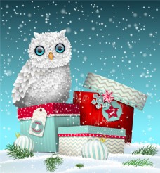 圣诞节礼物盒和猫头鹰图片