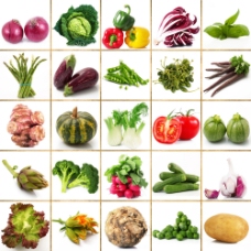 各种蔬菜表图片