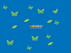 蝴蝶飞舞各种飞舞的蝴蝶图案photoshop笔刷下载