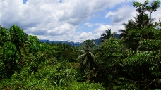 卡里森景观斯里兰卡的景观