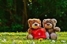 温馨浪漫的泰迪熊玩偶