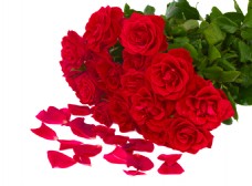 鲜红玫瑰花束空白图片