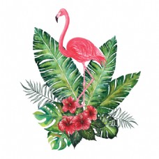 装饰画热带水彩画的火烈鸟装饰设计