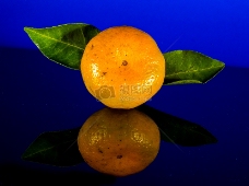 橘子与它的倒影