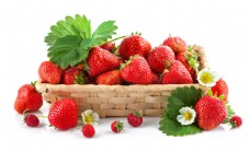 竹篮里的新鲜草莓图片