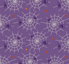 蜘蛛网蜘蛛紫色花纹