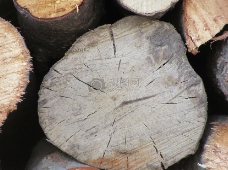 木桩背景图案