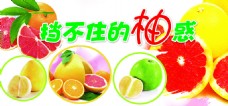 柚子节
