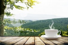 咖啡杯咖啡与树林风景图片