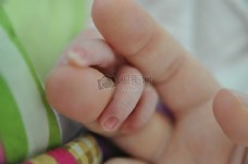 握着大人手指的婴儿