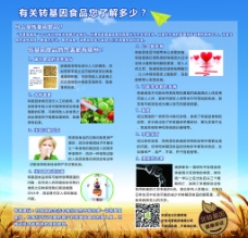 非转基因 食品粮食海报