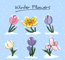 美丽的手绘冬季花