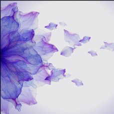 紫色花背景图矢量