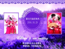 紫色薰衣草婚礼