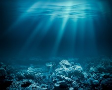 底图蓝色海底珊瑚图片