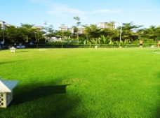 五星级酒店蓝天绿茵草坪图片