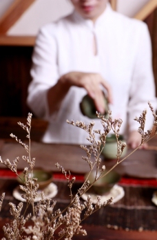 SPA插图茶道花道美女插花茶艺师图片