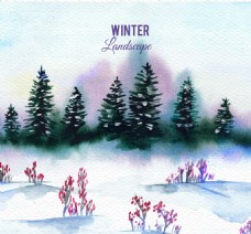 水彩背景与松树的背景雪