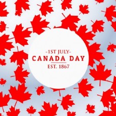 第一加拿大天背景的叶子