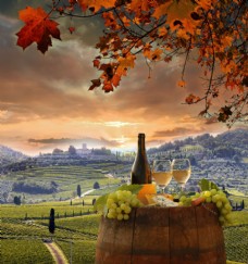 木桶葡萄酒与葡萄园图片